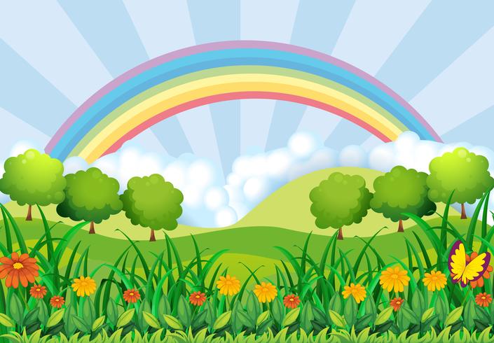 El campo y el arcoiris. vector