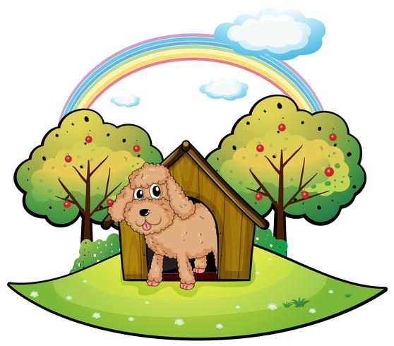 A dog with a doghouse vector