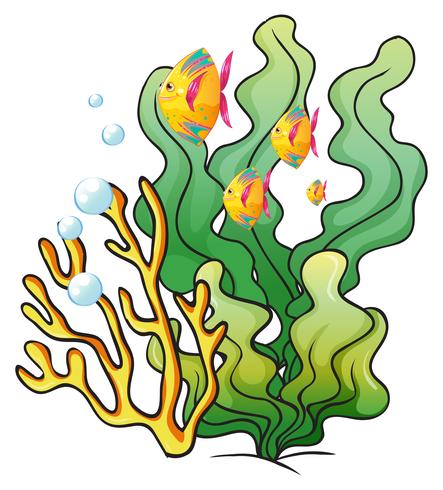 A school of fishes near the seaweeds 526719 Vector Art at Vecteezy