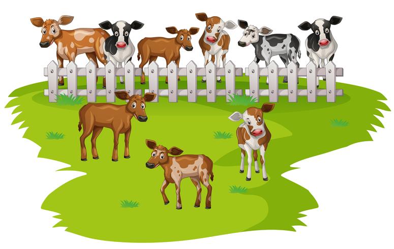 Many cows on the farmyard vector