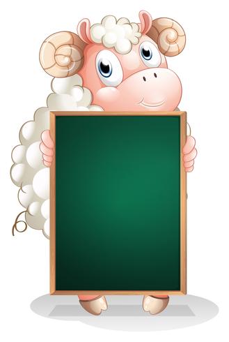 A shy sheep holding an empty blackboard vector