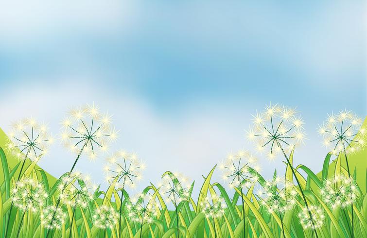 The growing weeds under the blue sky vector