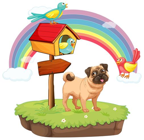Dog and rainbow vector