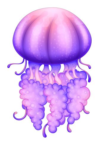 A lavender jellyfish vector