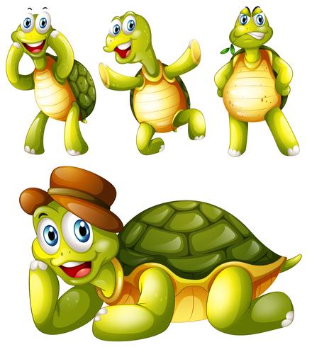 Four playful turtles vector