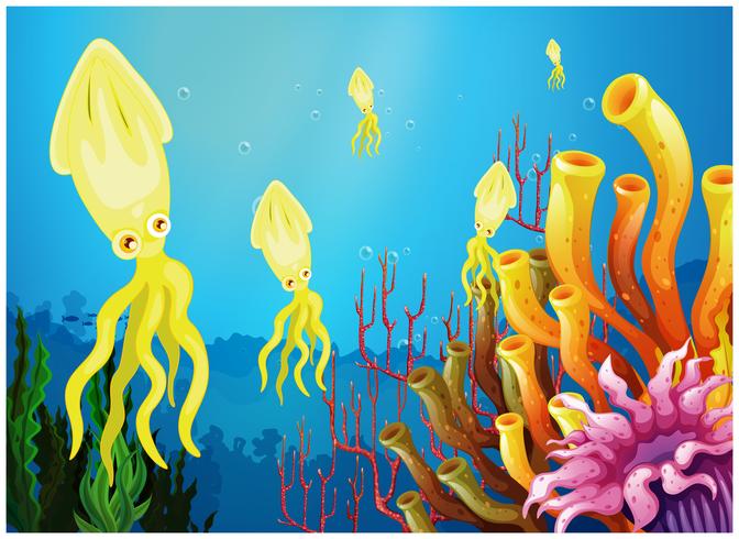 Yellow squids near the coral reefs vector