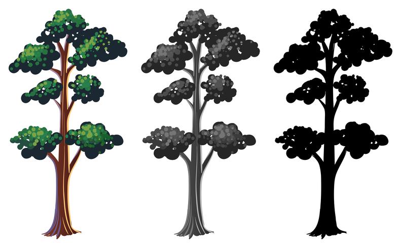 Conjunto de arbol aislado vector