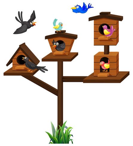 Different types of birds in birdcage vector