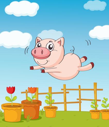 A pig vector