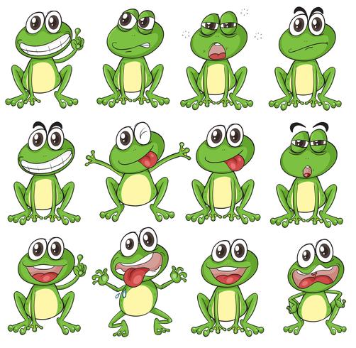 Different faces of a frog vector