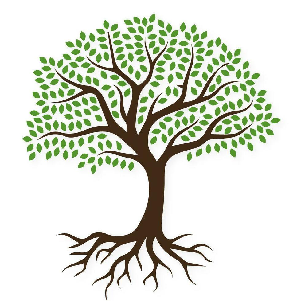 Tree With Roots vector