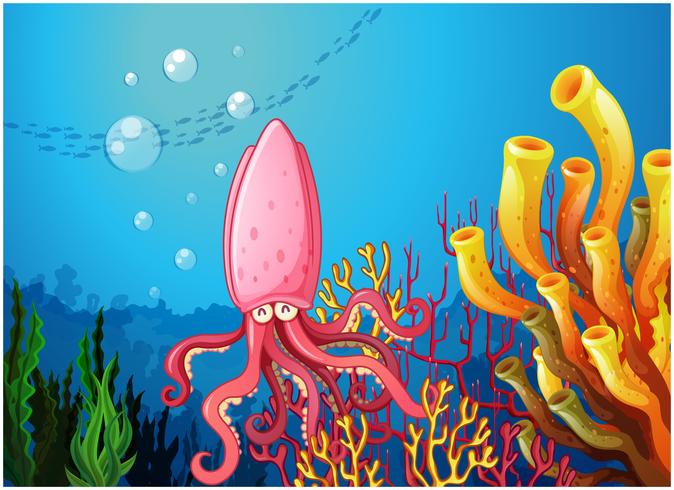 Un pulpo bajo el mar cerca de los coloridos corales. vector