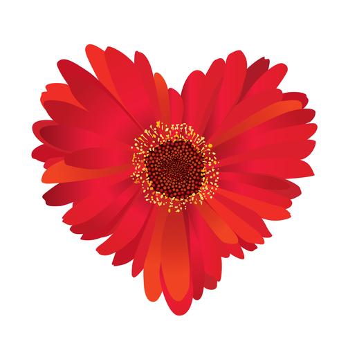 red flower with love heart shape. vector