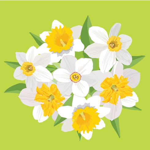 Flower bouquet. Floral frame. Flourish greeting card. Blooming flowers isolated on white background vector