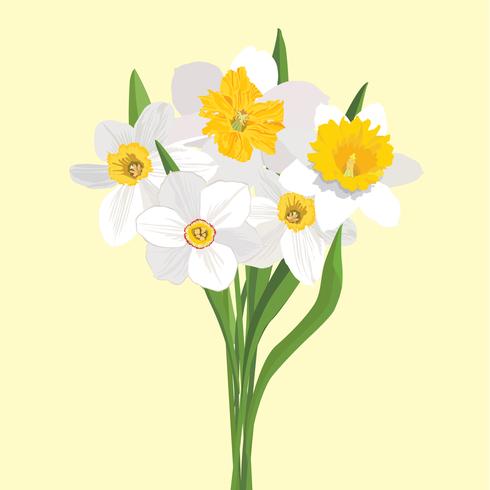 Flower bouquet. Floral frame. Flourish greeting card. Blooming flowers isolated on white background vector