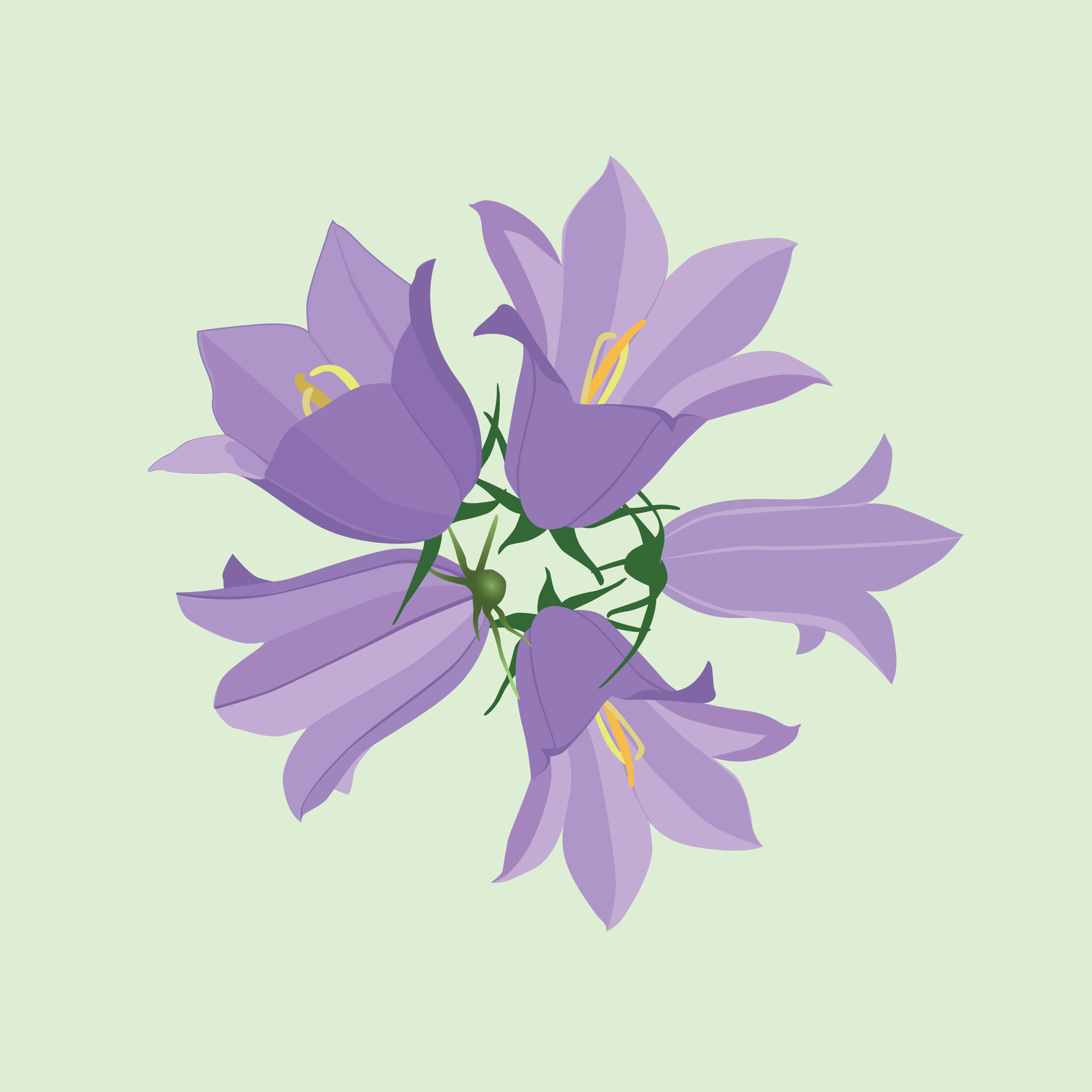 Download Flowers isolated. Floral summer bouquet. - Download Free Vectors, Clipart Graphics & Vector Art