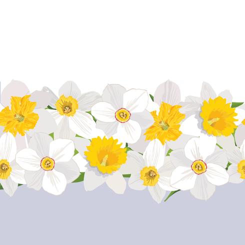 Floral seamless pattern. Flower border background. vector