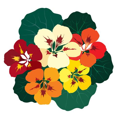 Resumen patrón floral del azulejo. Fondo de flor de jardín vector