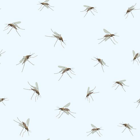 Mosquitoes on blue sky background. Incest seamless pattern. vector