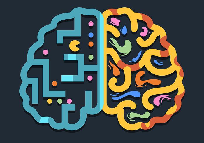 Cerebro humano hemisferio izquierdo y derecho vector