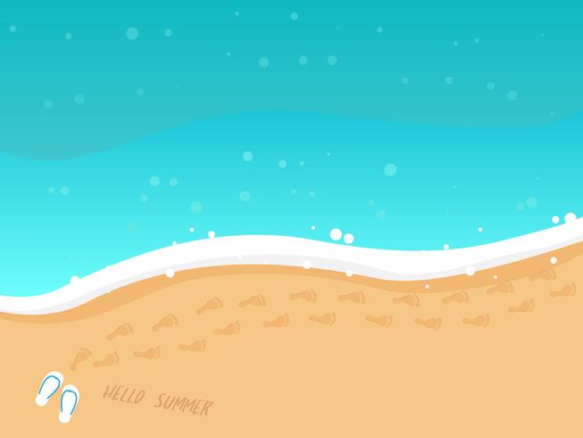 summer beach top view vector