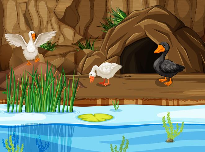 patos en escena de la cueva vector