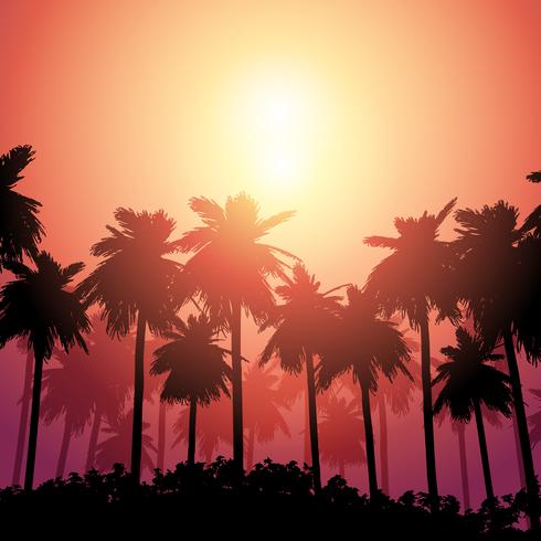 Paisaje de palmera contra el cielo del atardecer vector