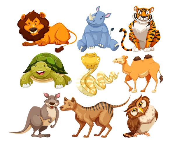 Set of wild animals