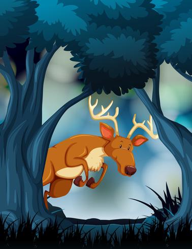 A deer in dark forest vector