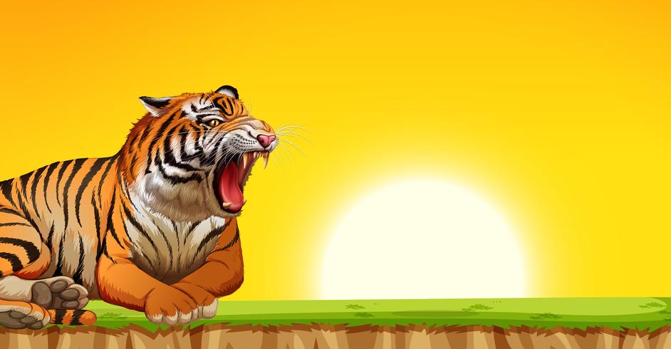 Un tigre en escena puesta de sol vector