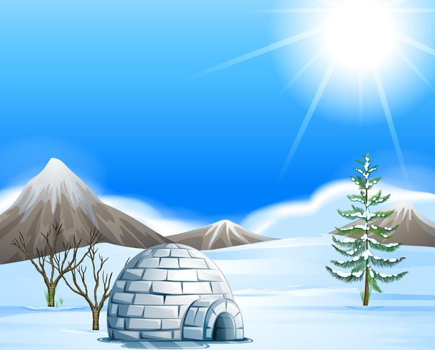 Igloo in the north pole vector