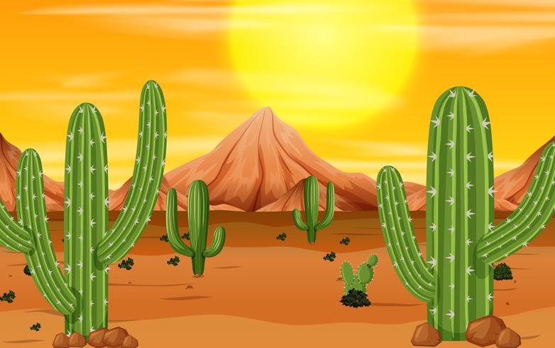 Una escena del atardecer en el desierto vector