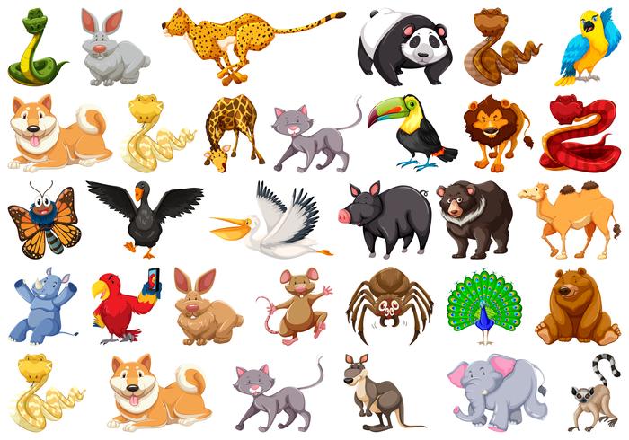 large set of animals vector