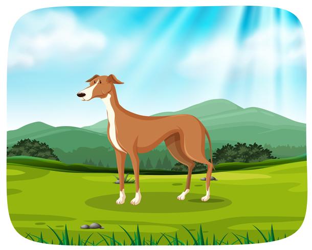 Perro en escena de la naturaleza vector