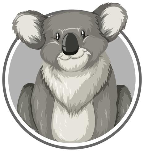 Koala in a circle vector