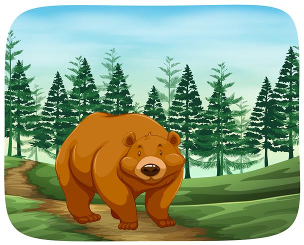 Bear in the wild vector