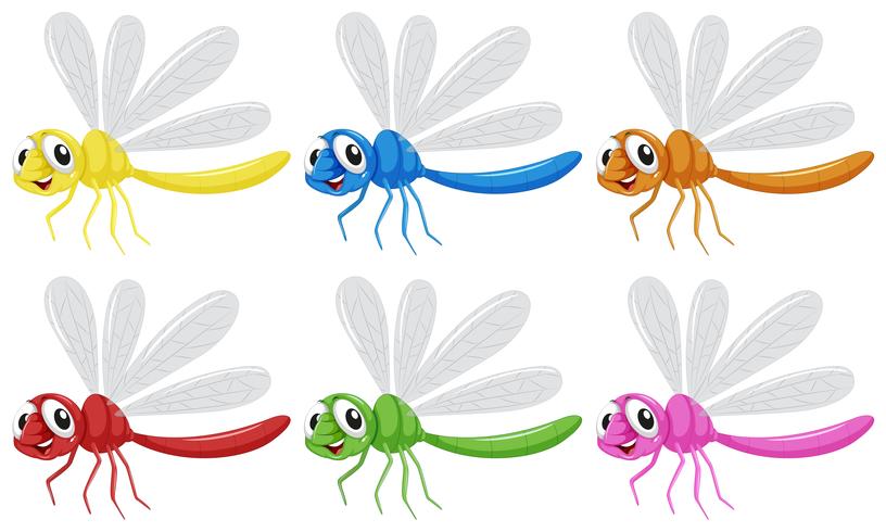 Set of dragonfly character vector