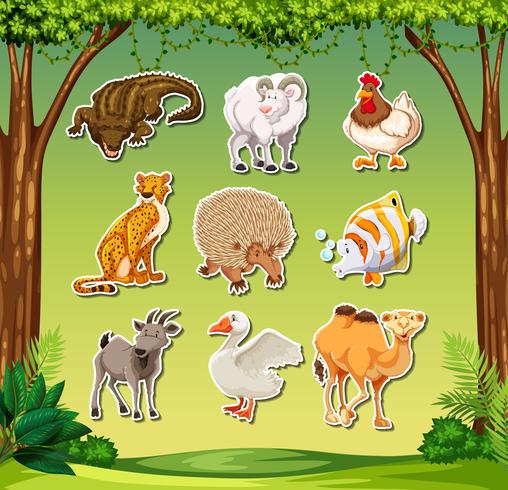 Set of animal sticker vector