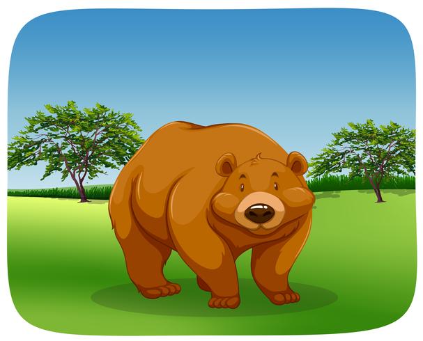 Bear in a field vector