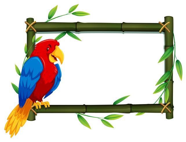 Parrot on bamboo frame vector