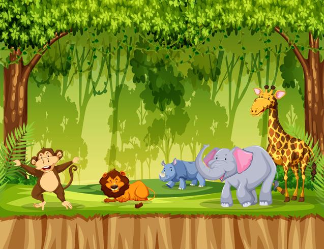 Animales en la escena de la selva vector