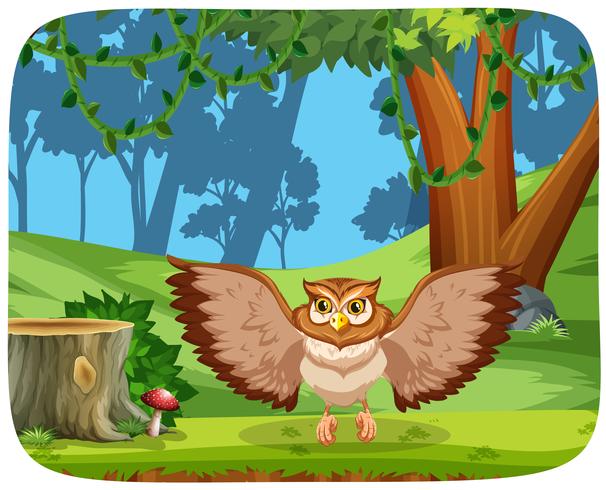 Owl in the jungle vector