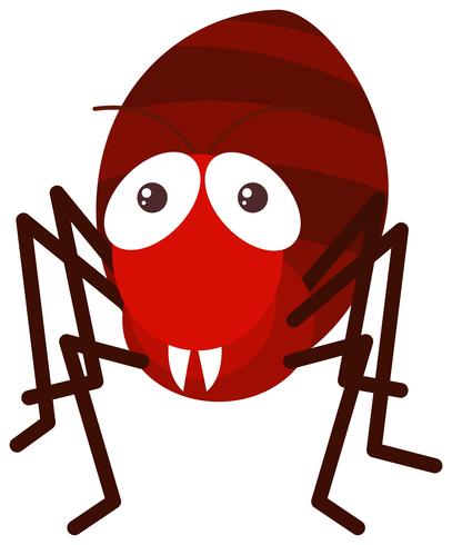Red ant on white background vector