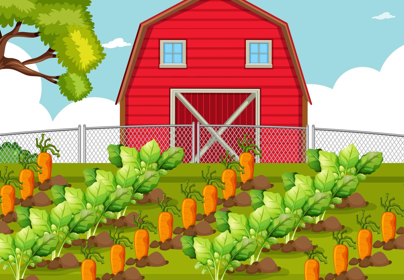 Vegetable patch at a farm 528556 Vector Art at Vecteezy