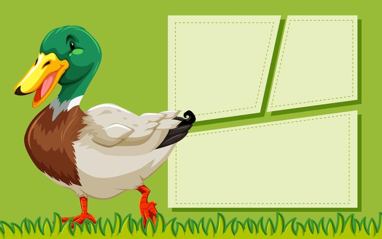 Duck green frame template vector