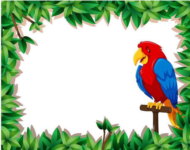 Parrot with nature frame vector