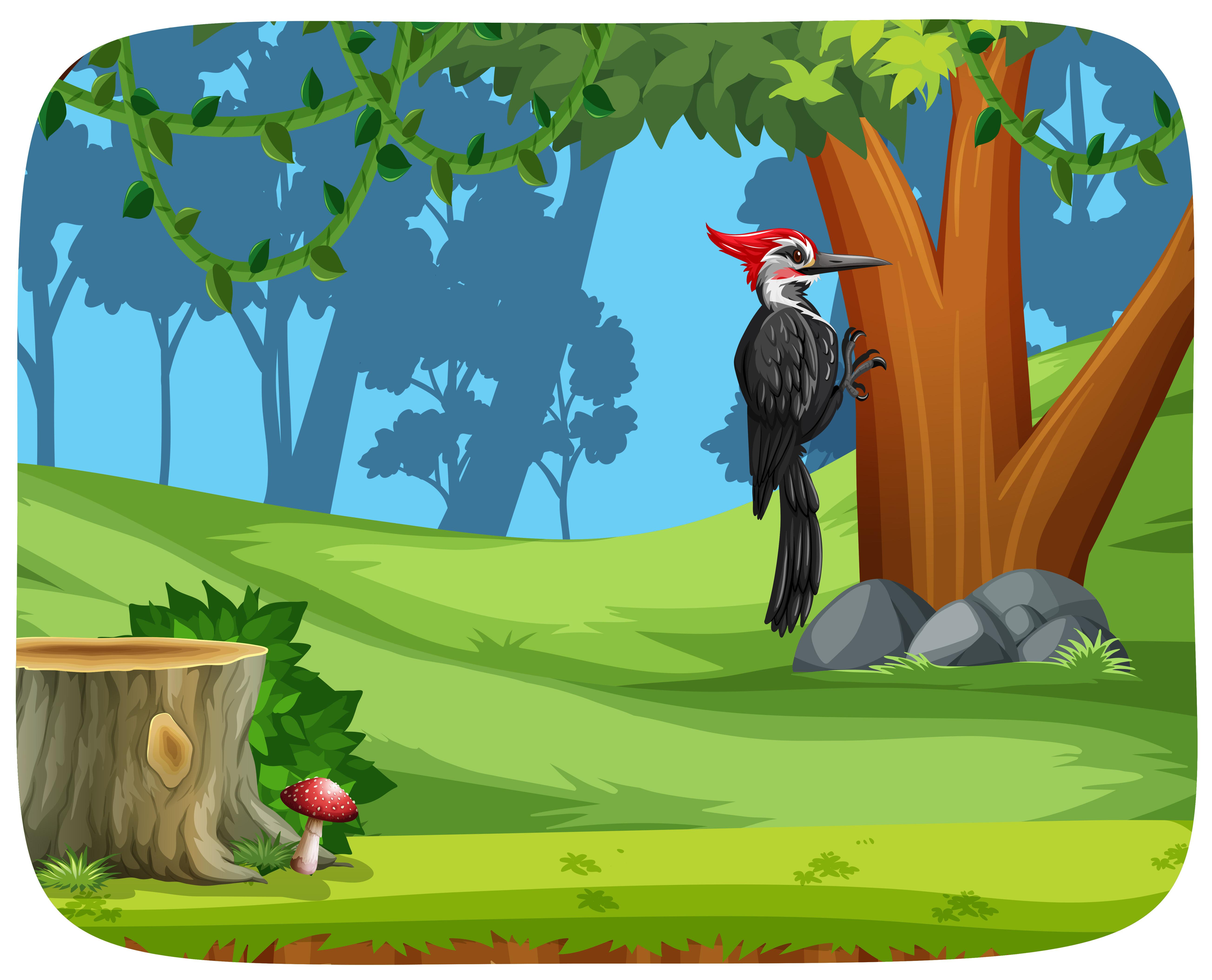 A woodpecker bird in forest 528632 Vector Art at Vecteezy