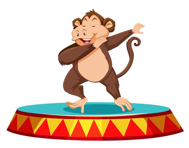 Monkey dancing on the stage