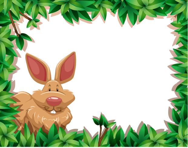 rabbit in the jungle vector
