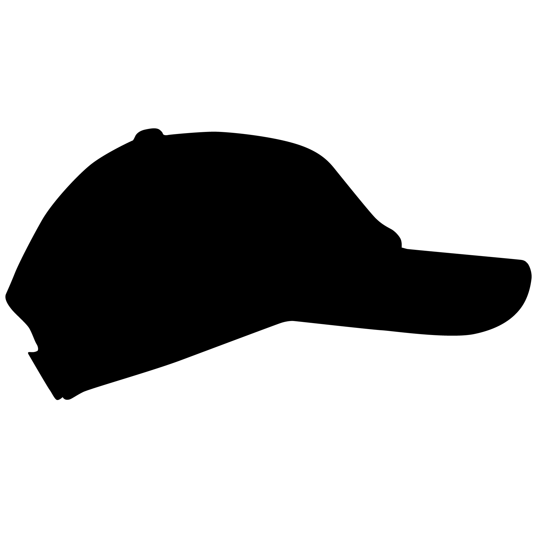 Gorra Svg